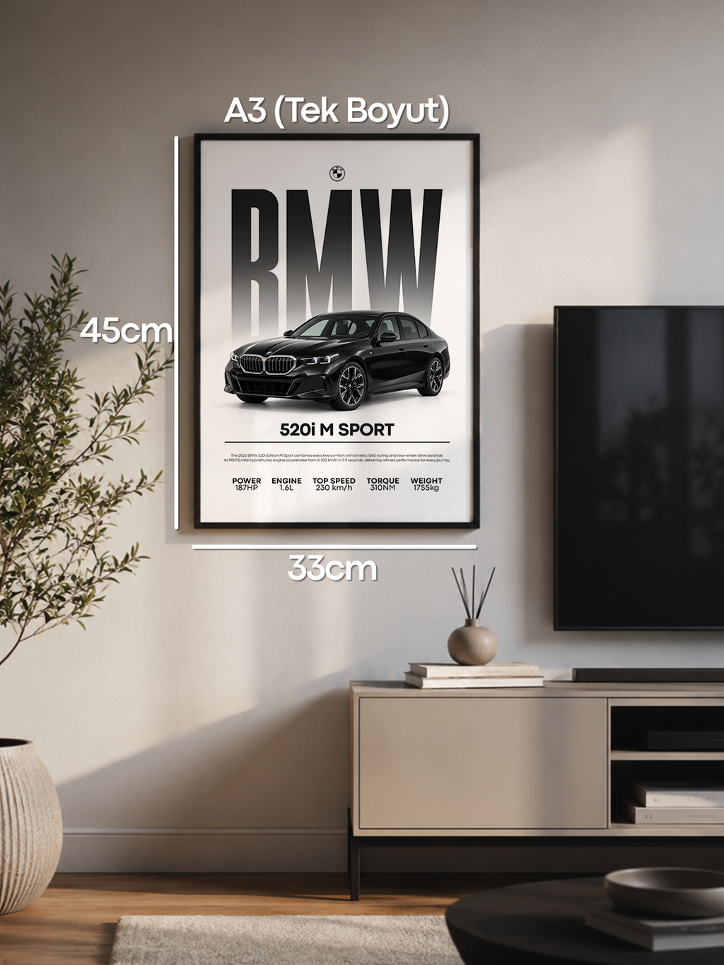 Bmw 5.20i