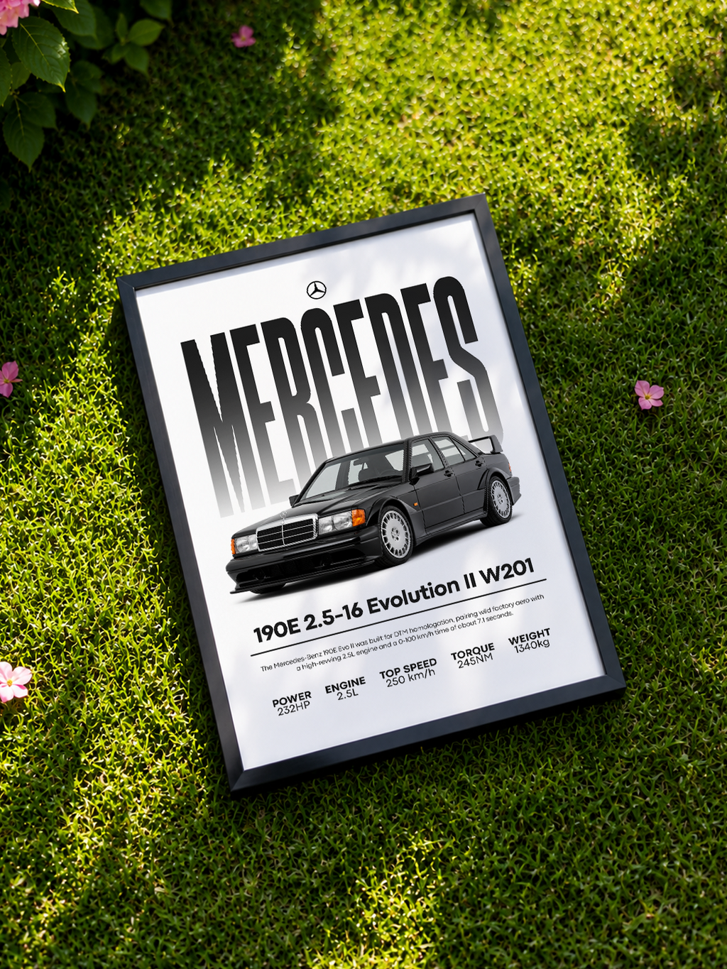 Mercedes 190E W201 Evo2