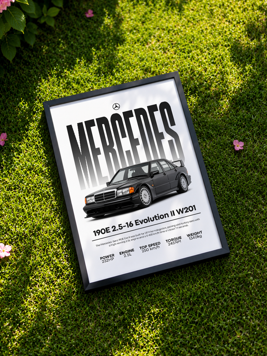 Mercedes 190E W201 Evo2